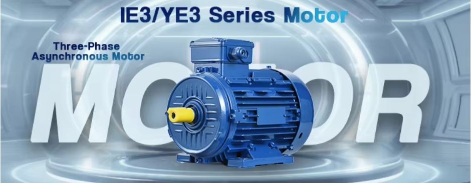 1769048601155697.png 1.png