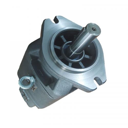 >SY10 SY11 SY21 SY22 Series Tandem Internal Gear Pump